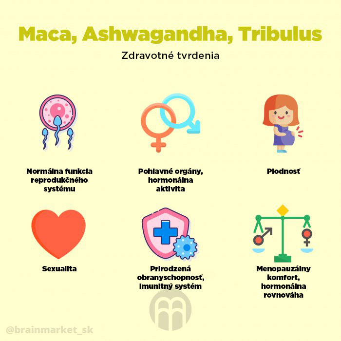 maca aswhagandha tribulus zdravotni tvrzeni infografika brainmarket sk